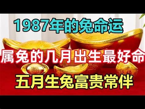 1987是什麼生肖